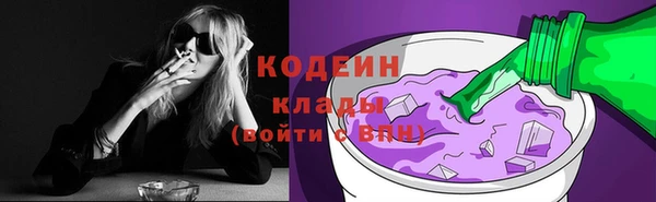 ГАЛЛЮЦИНОГЕННЫЕ ГРИБЫ Арсеньев