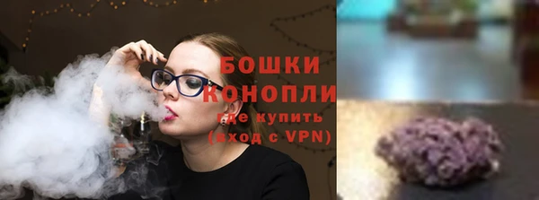 ГАЛЛЮЦИНОГЕННЫЕ ГРИБЫ Арсеньев